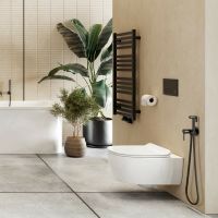 Товар: Гигиенический душ со смесителем Excellent Pi Arex AREX.1204BL Черный матовый - фото 2 Гигиенический душ со смесителем Excellent Pi Arex AREX.1204BL Черный матовый — фото 2, Душевое оборудование. Душевая программа