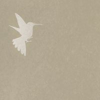 Обои Bernardo Bartalucci Legend Флизелин (1,06*10) Бежевый, Птицы арт-5071-1 — фото 2, Обои