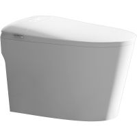 Унитаз биде SantiLine SL-5036 приставной с сиденьем Микролифт — фото 1, Умные унитазы