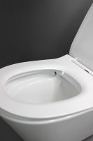 Унитаз Creo Ceramique Creo COMBO CR1100R подвесной с сиденьем Микролифт — фото 6, Унитазы