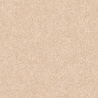 Обои Alessandro Allori Four Seasons 1607-4 Винил на флизелине (1,06*10) Бежевый, Штукатурка — фото 1, Обои для стен