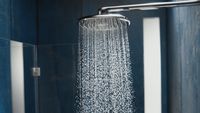 Верхний душ Grohe Rainshower 26254000 Хром — фото 4, Верхние души