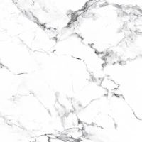 Товар: Керамогранит Arcadia Ceramica Borghini silver CR4006-A 60х60 см - фото 5 Керамогранит Arcadia Ceramica Borghini silver CR4006-A 60х60 см — фото 5, Керамогранит