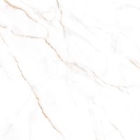 Керамогранит Alma Ceramica Neo Calacatta GFU04NCL04R 60х60 см — фото 1, Керамогранит