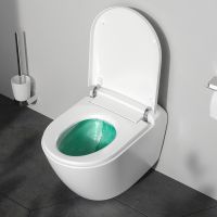 Унитаз-биде AM.PM Sensation CCC301700SC подвесной с сиденьем Микролифт — фото 17, Унитазы