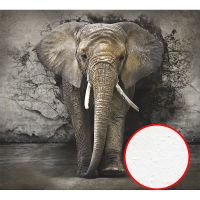 Фреска Ortograf Животные 4187 Фактура бархат FX Флизелин (3*2,7) Серый, Животные — фото 1, Фрески