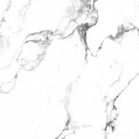 Товар: Керамогранит Arcadia Ceramica Borghini silver CR4006-A 60х60 см - фото 8 Керамогранит Arcadia Ceramica Borghini silver CR4006-A 60х60 см — фото 8, Керамогранит