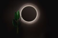 Зеркало Silver Mirrors Monaco 100 LED-00002767 с подсветкой Золото с бесконтактным выключателем и диммером — фото 5, Мебель для ванной