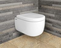 Товар: Комплект унитаза с инсталляцией Berges Ego Rimless 043231 с сиденьем Микролифт и клавишей смыва Хром - фото 2 Комплект унитаза с инсталляцией Berges Ego Rimless 043231 с сиденьем Микролифт и клавишей смыва Хром — фото 2, Комплекты унитаз + инсталляция