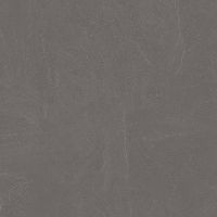 Товар: Керамогранит Ceradim Stone Notable Ash тёмно-серый матовый 60х60 см - фото 2 Керамогранит Ceradim Stone Notable Ash тёмно-серый матовый 60х60 см — фото 2, Керамогранит