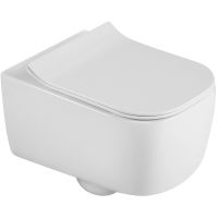 Унитаз Black&White Universe W-730 730W00 подвесной с сиденьем Микролифт — фото 1, Унитазы