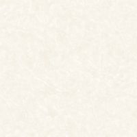 Обои Roberto Borzagi King 90114-2 Винил на флизелине (1,06*10) Белый, Штукатурка — фото 1, Обои для стен