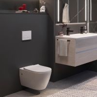 Товар: Комплект унитаза с инсталляцией Berges Novum Rimless 043216 с сиденьем Микролифт и клавишей смыва Хром глянец - фото 7 Комплект унитаза с инсталляцией Berges Novum Rimless 043216 с сиденьем Микролифт и клавишей смыва Хром глянец — фото 7, Унитазы