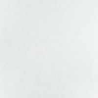 Обои Артекс New Look 5 10631-01 Винил на флизелине (1,06*10,05) Белый, Штукатурка — фото 1, Обои для стен