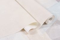 Обои Артекс Рандеву 10722-02 Винил на флизелине (1,06*10,05) Бежевый, Штукатурка — фото 3, Обои для стен