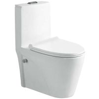 Унитаз биде SantiLine SL-5012SM-BD с сиденьем Микролифт — фото 1, Напольные унитазы