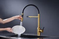 Смеситель для кухни Paulmark Magneto One Ma213188-BG Брашированное золото — фото 12, Смесители для кухни