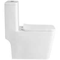 Унитаз моноблок Royce Bronx RCT-152002WH с сиденьем Микролифт — фото 3, Унитазы