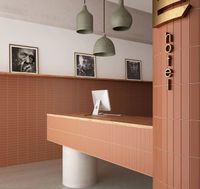 Керамическая плитка Equipe Costa Nova Terra Matt 28465 настенная 5х20 см — фото 3, Керамическая плитка