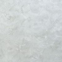 Обои Wiganford by Solo Fusion ER61626 Винил на флизелине (1,06*10,05) Серый, Штукатурка — фото 1, Обои для стен