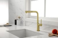 Смеситель для кухни Paulmark Neo Ne214419-SBG Светлое брашированное золото — фото 2, Смесители для кухни