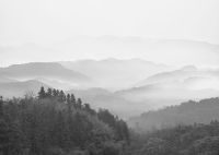 Фреска Ortograf Горы 34074 Фактура бархат FX Флизелин (3,8*2,7) Серый, Горы/Деревья — фото 2, Фрески