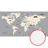 Фреска Ortograf Карты мира 33548 Фактура бархат FX Флизелин (5,2*2,7) Серый, Карты/Корабли — фото 1, Фрески