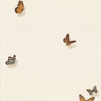 Обои Andrea Rossi Spectrum max 54363-3 Винил на флизелине (1,06*10) Разноцветный, Бабочки — фото 1, Обои для стен