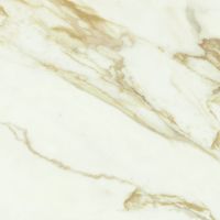 Керамогранит Baldocer Adaggio Gold Pulido 60х60 см — фото 1, Керамогранит