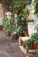 Товар: Фреска Ortograf Городской пейзаж живопись 11547 Фактура бархат FX Флизелин (1,8*2,7) Зеленый/Бежевый, Цветы/Живопись - фото 2 Фреска Ortograf Городской пейзаж живопись 11547 Фактура бархат FX Флизелин (1,8*2,7) Зеленый/Бежевый, Цветы/Живопись — фото 2, Фрески