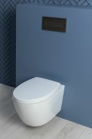 Товар: Унитаз Aquanet ZV-1 303977 подвесной с сиденьем Микролифт - фото 20 Унитаз Aquanet ZV-1 303977 подвесной с сиденьем Микролифт — фото 20, Подвесные унитазы