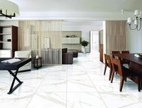 Товар: Керамогранит Primavera Regal Carara Polished PR103 60x60 см - фото 2 Керамогранит Primavera Regal Carara Polished PR103 60x60 см — фото 2, Керамогранит