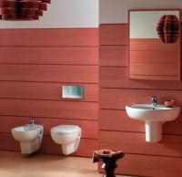 Унитаз Jacob Delafon Brive E4345G-00 подвесной без сиденья — фото 4, Подвесные унитазы