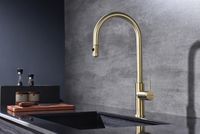 Смеситель для кухни Paulmark Galant Ga213077-SBG Светлое брашированное золото — фото 2, Смесители для кухни