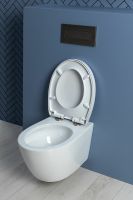 Товар: Унитаз Aquanet ZV-1 303977 подвесной с сиденьем Микролифт - фото 28 Унитаз Aquanet ZV-1 303977 подвесной с сиденьем Микролифт — фото 28, Подвесные унитазы