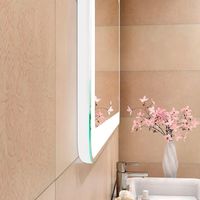 Зеркало Континент Velvette 900x700 ЗЛП1199 с подсветкой с сенсорным выключателем — фото 6, Зеркала в ванную комнату