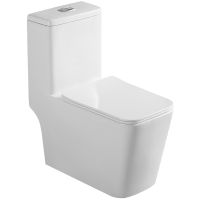 Унитаз моноблок Royce Bronx RCT-152002WH с сиденьем Микролифт — фото 1, Унитазы