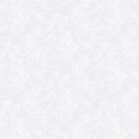 Обои Yasham Echo S-21555-2 Винил на флизелине (1,06*10,05) Серый, Штукатурка — фото 1, Обои для стен