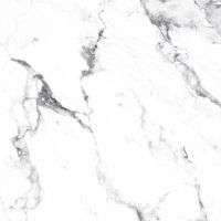 Товар: Керамогранит Arcadia Ceramica Borghini silver CR4006-A 60х60 см - фото 6 Керамогранит Arcadia Ceramica Borghini silver CR4006-A 60х60 см — фото 6, Керамогранит