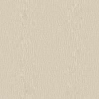 Обои Roberto Borzagi King 90117-6 Винил на флизелине (1,06*10) Бежевый, Однотонные/Рогожка — фото 1, Обои для стен