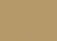 Обои Grandeco Cumaru CU 1405 Винил на флизелине (0,53*10,05) Коричневый/Золото, Штукатурка/Под дерево — фото 2, Обои для стен