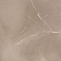 Керамогранит Azteca Passion Lux 60 Taupe 60х60 см — фото 1, Керамическая плитка