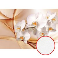 Фреска Ortograf 3D 6691 Фактура бархат FX Флизелин (3,9*2,7) Оранжевый/Белый, Цветы/Абстракция — фото 1, Фрески