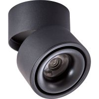 Потолочный светильник Artelamp Arcturus A7715PL-1BK Черный — фото 1, Светильники