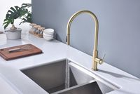 Смеситель для кухни Paulmark Senso Se215180-SBG Светлое брашированное золото — фото 4, Смесители