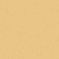Обои LOYMINA Equator QTR8 002/2 Флизелин (1*10,05) Желтый, Однотонные/Рогожка — фото 1, Обои для стен