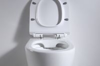 Товар: Унитаз beWash Lusso BKWHR004550 подвесной Белый с сиденьем Микролифт - фото 8 Унитаз beWash Lusso BKWHR004550 подвесной Белый с сиденьем Микролифт — фото 8, Унитазы