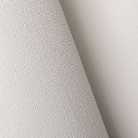 Обои Andrea Rossi Spectrum Pro 54381-2 Винил на флизелине (1,06*10) Белый, Однотонные/Рогожка — фото 2, Обои для стен