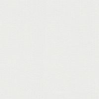 Обои AS Creation Original View 2117-98 Винил на флизелине (0,53*10,05) Белый, Рогожка — фото 1, Обои для стен