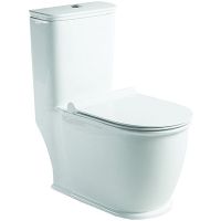 Унитаз моноблок SantiLine SL-5019 с сиденьем Микролифт — фото 1, Напольные унитазы